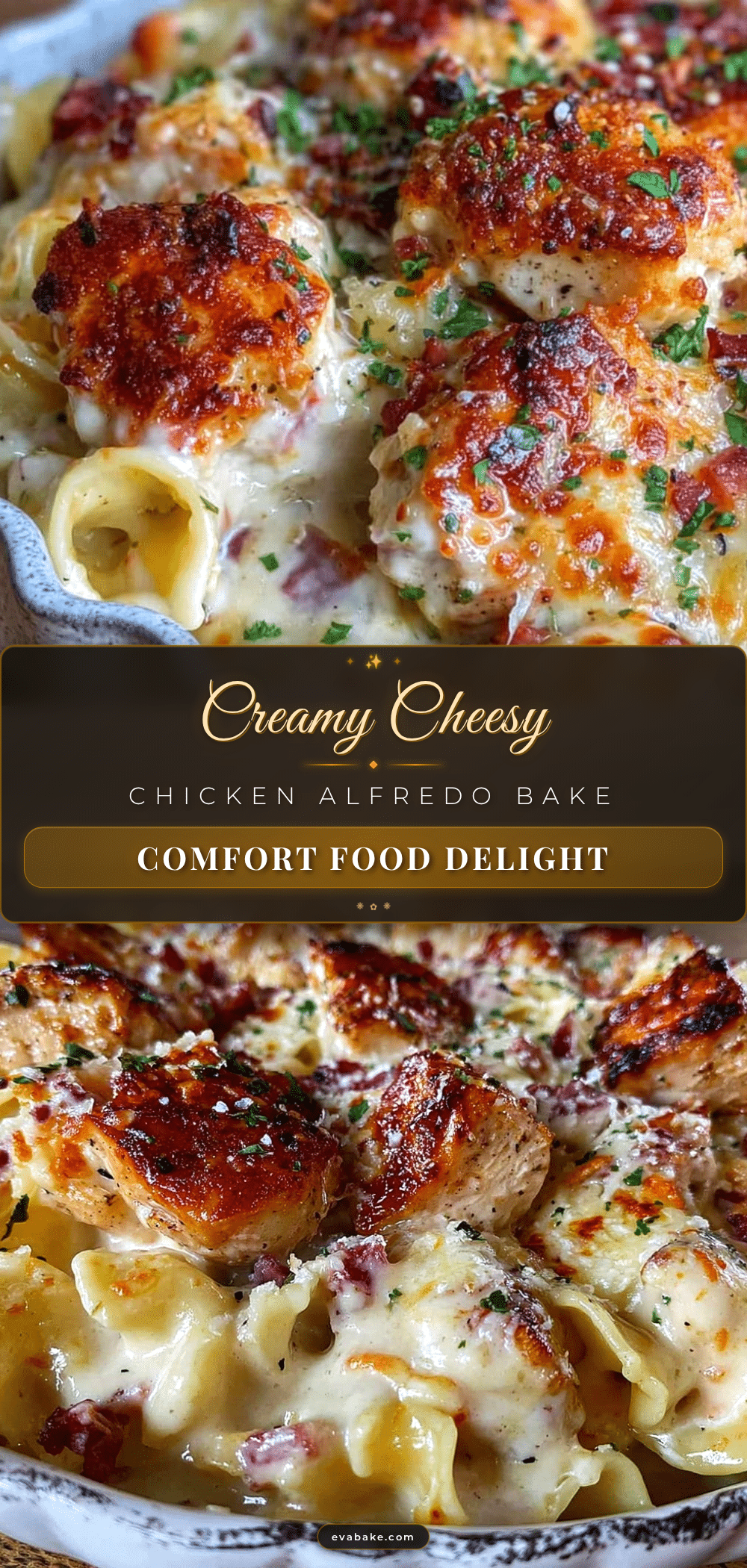creamy chicken Alfredo pasta bake recipe