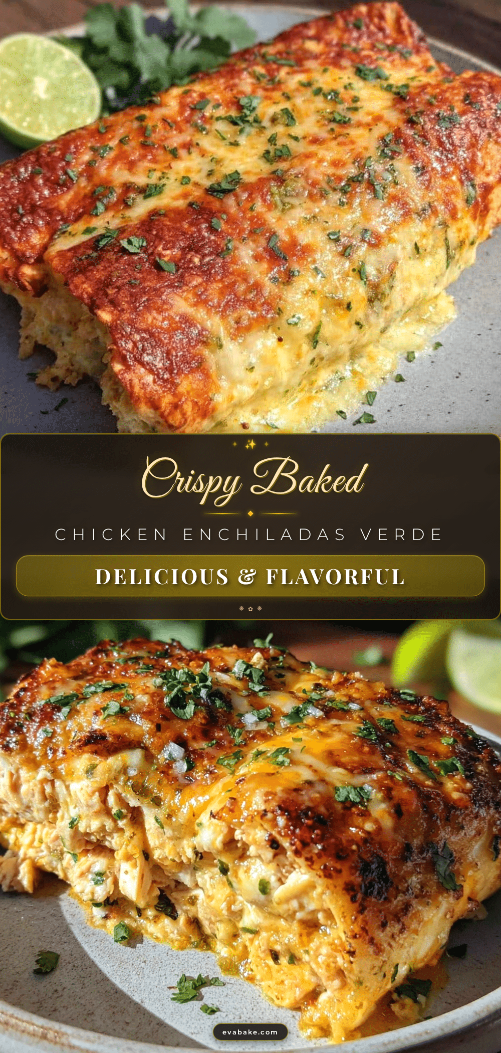 crispy baked chicken enchiladas recipe