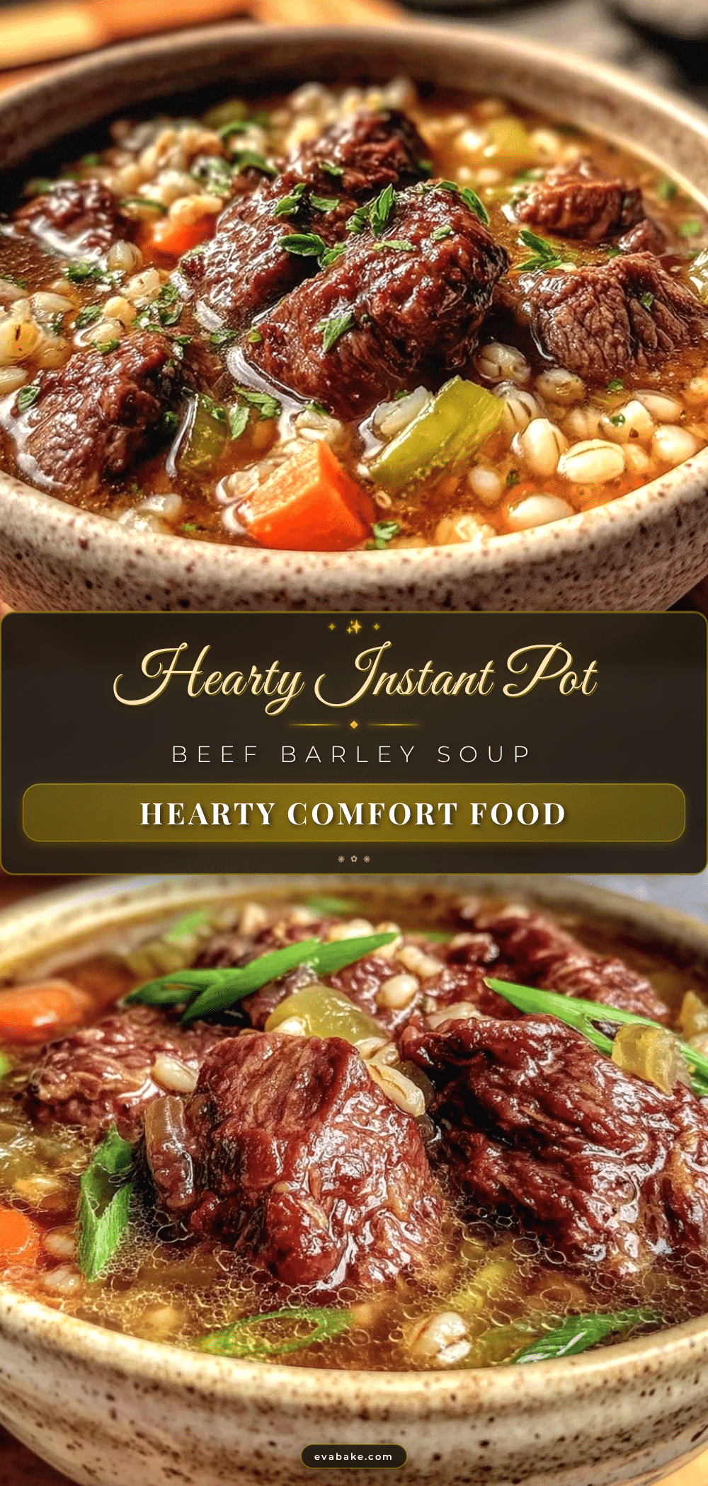 Instant Pot Beef and Barley Soup recipe