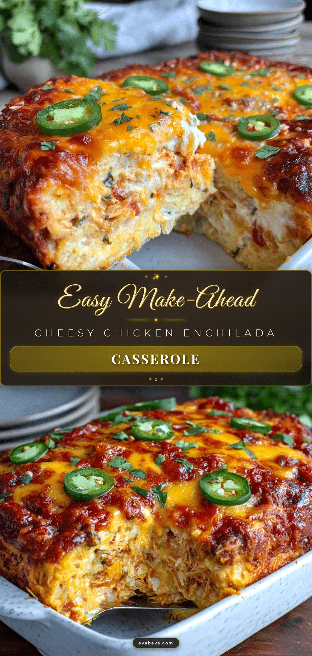 chicken enchilada casserole recipe