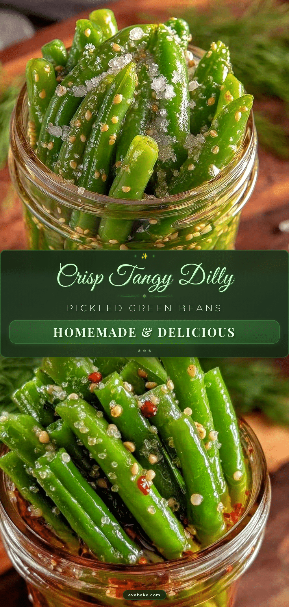fresh dilly beans pickled green beans recipe