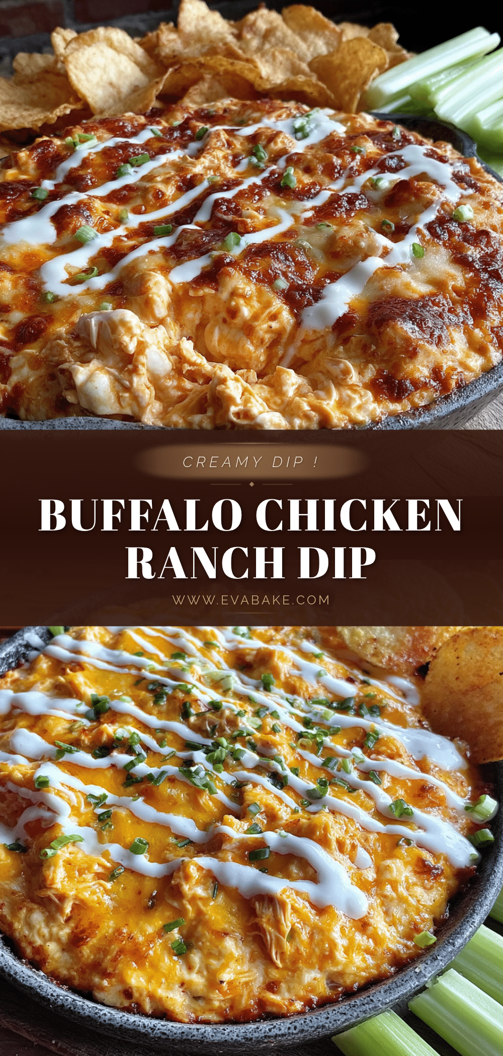 best creamy buffalo chicken dip with ranch recipe recipe