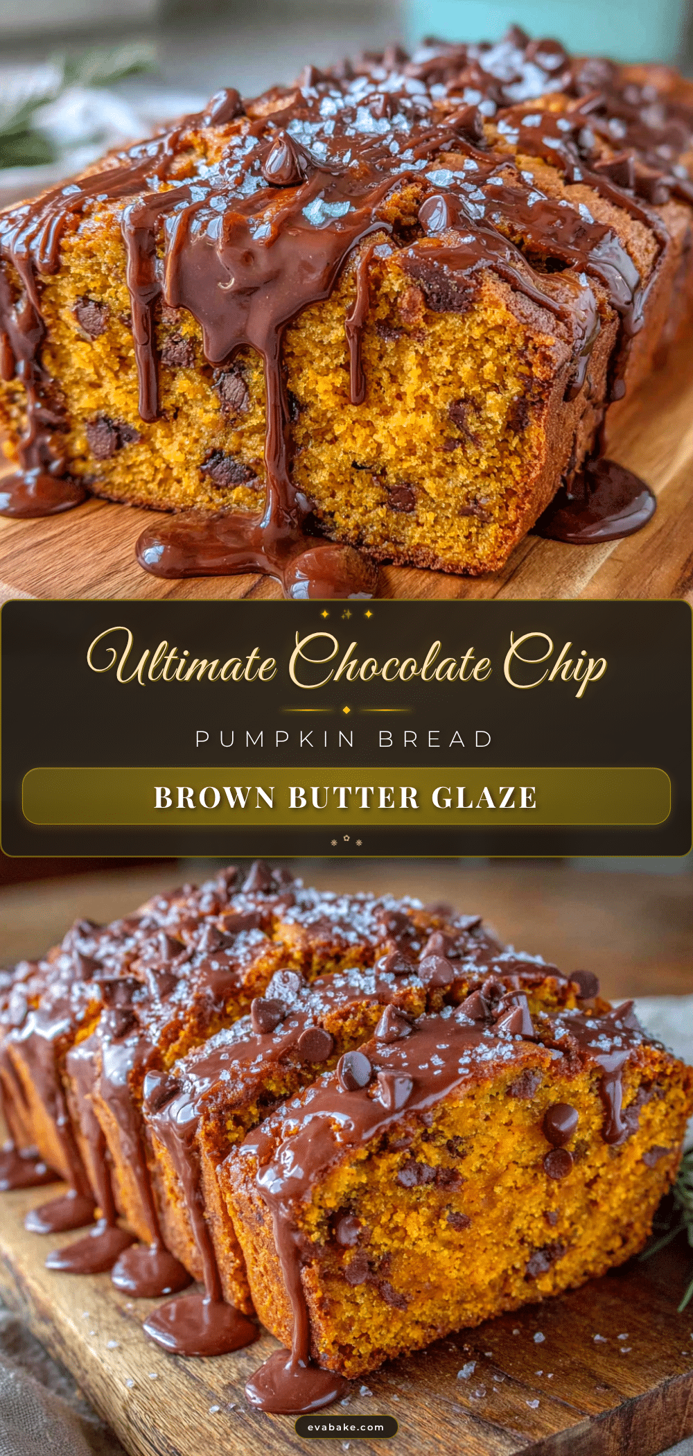 chocolate chip pumpkin bread recipe