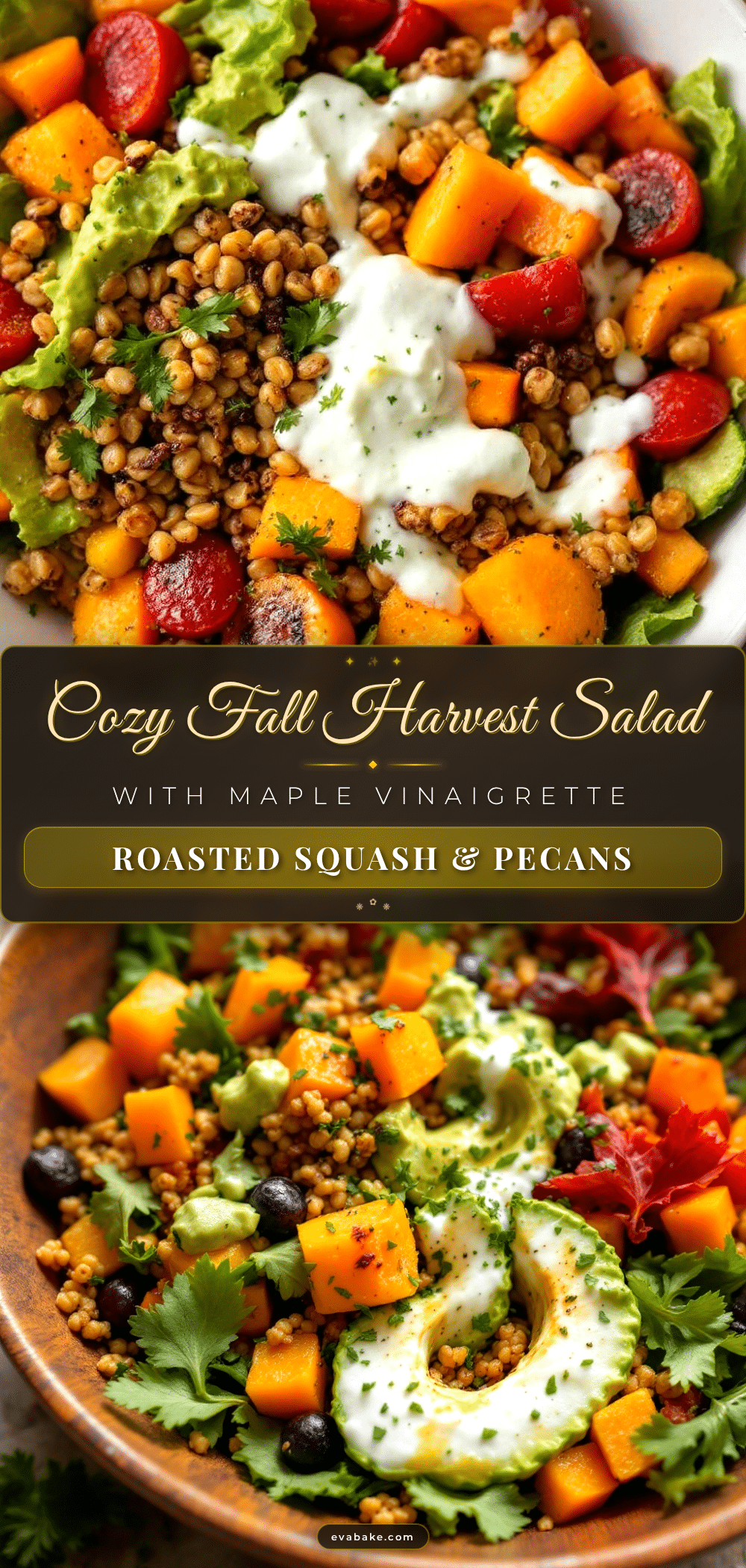 fall harvest salad recipe