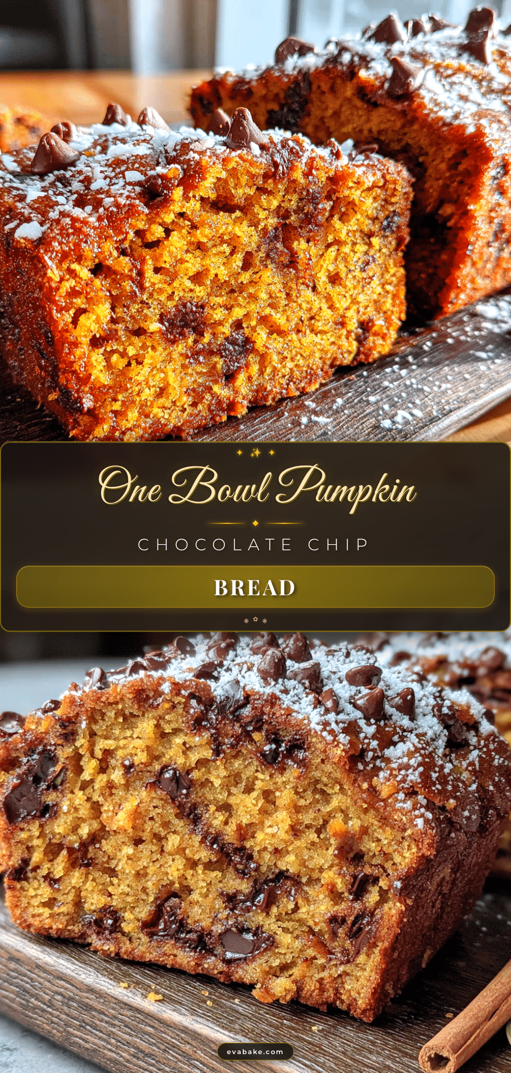 pumpkin chocolate chip bread recipe