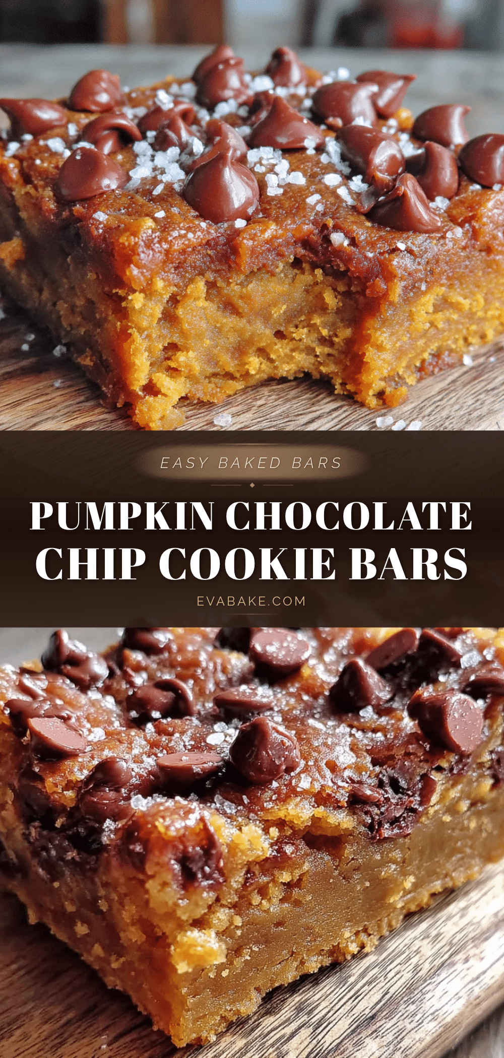 pumpkin chocolate chip cookie bars recipe