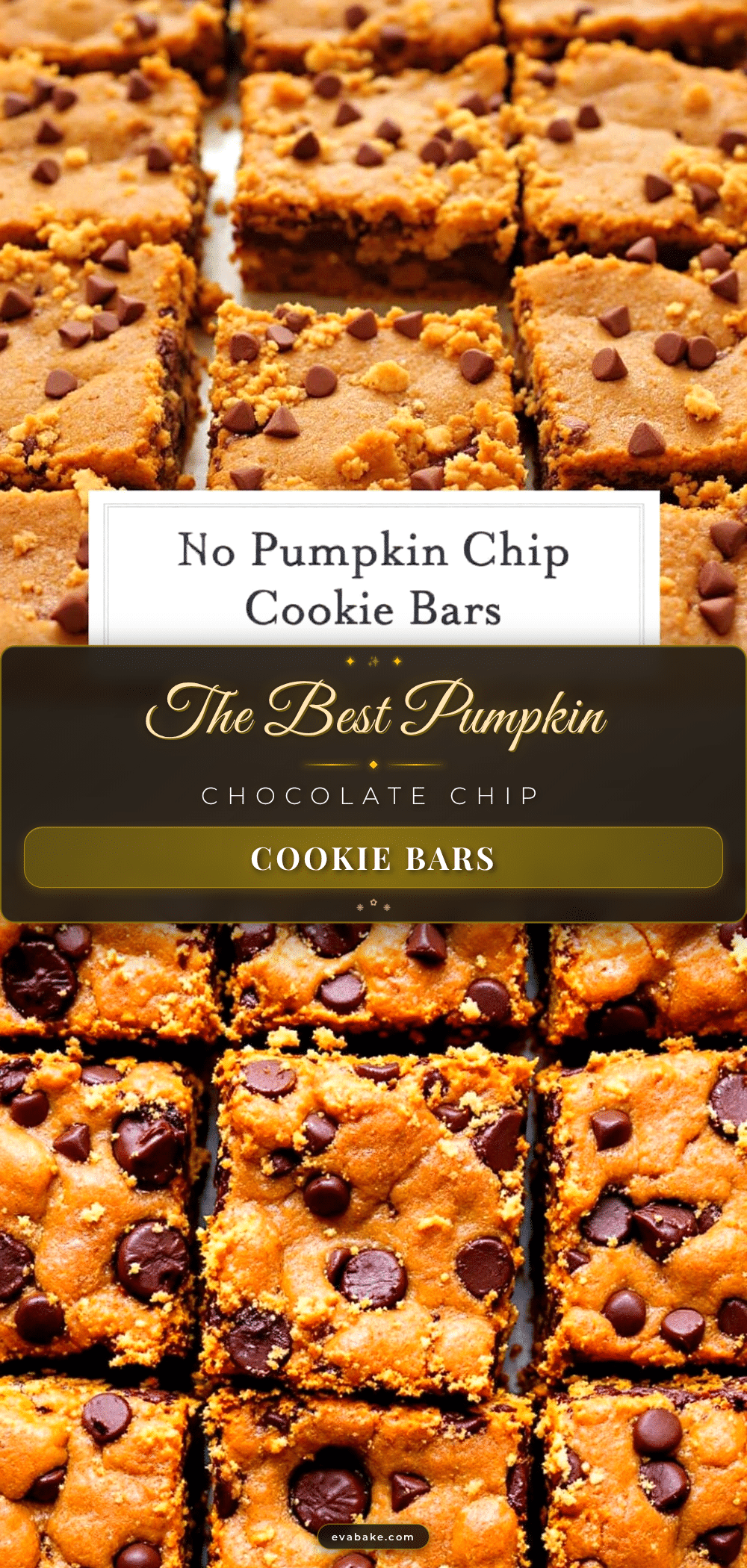 pumpkin chocolate chip cookie bars recipe
