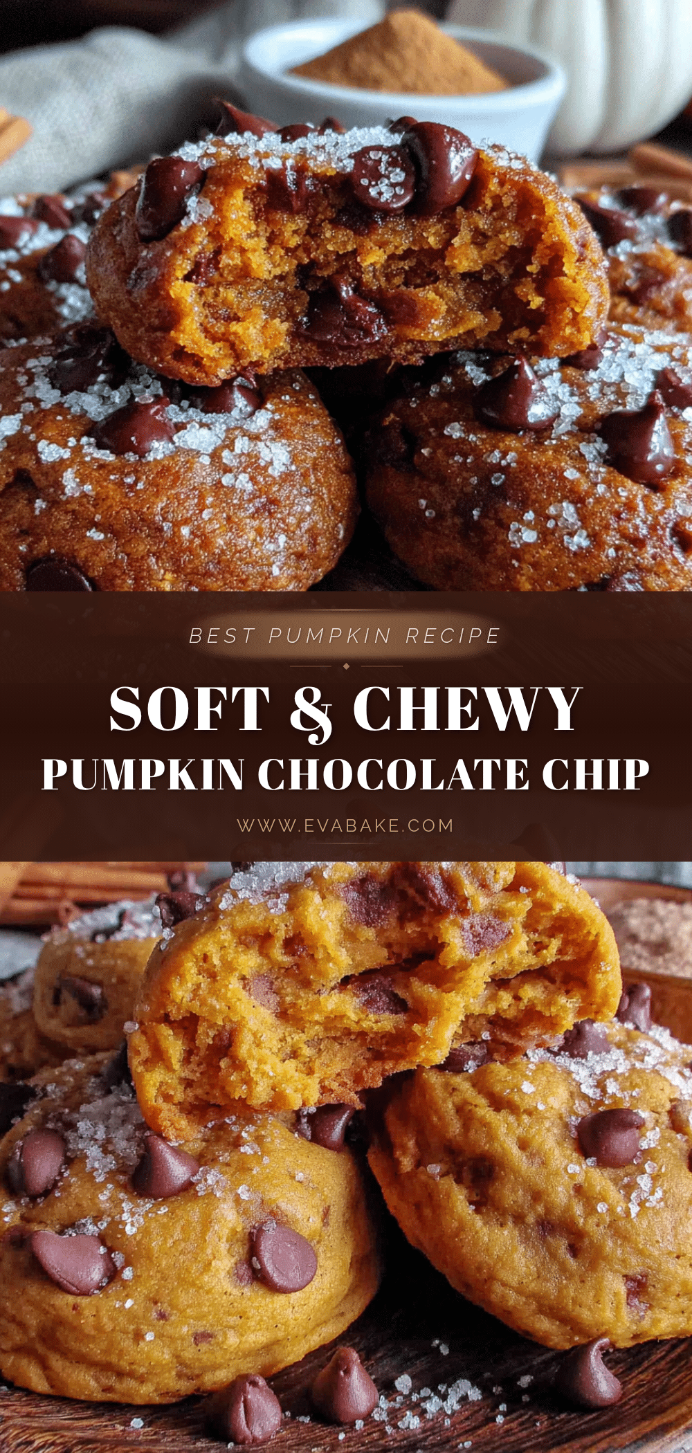 soft pumpkin chocolate chip cookies recipe