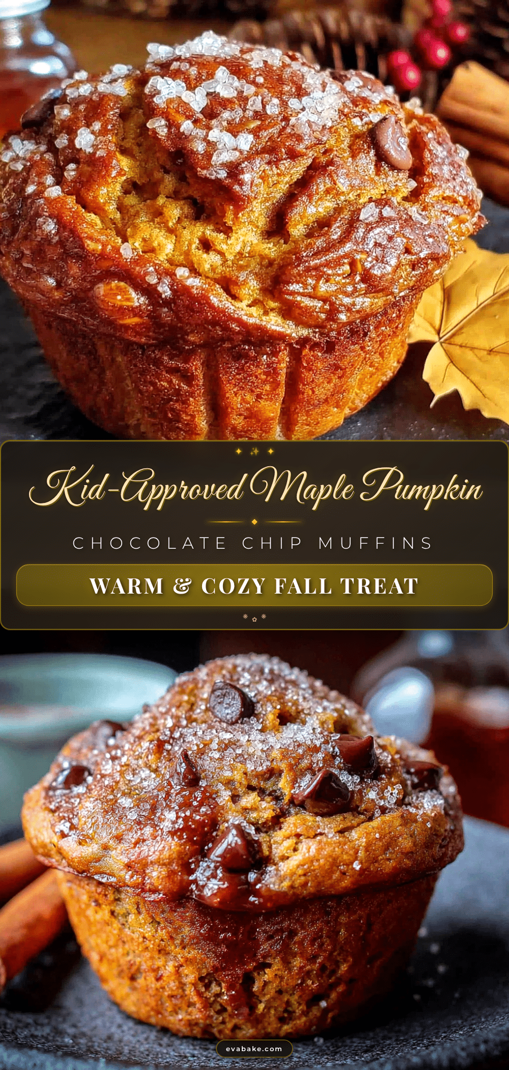 maple pumpkin chocolate chip muffins recipe