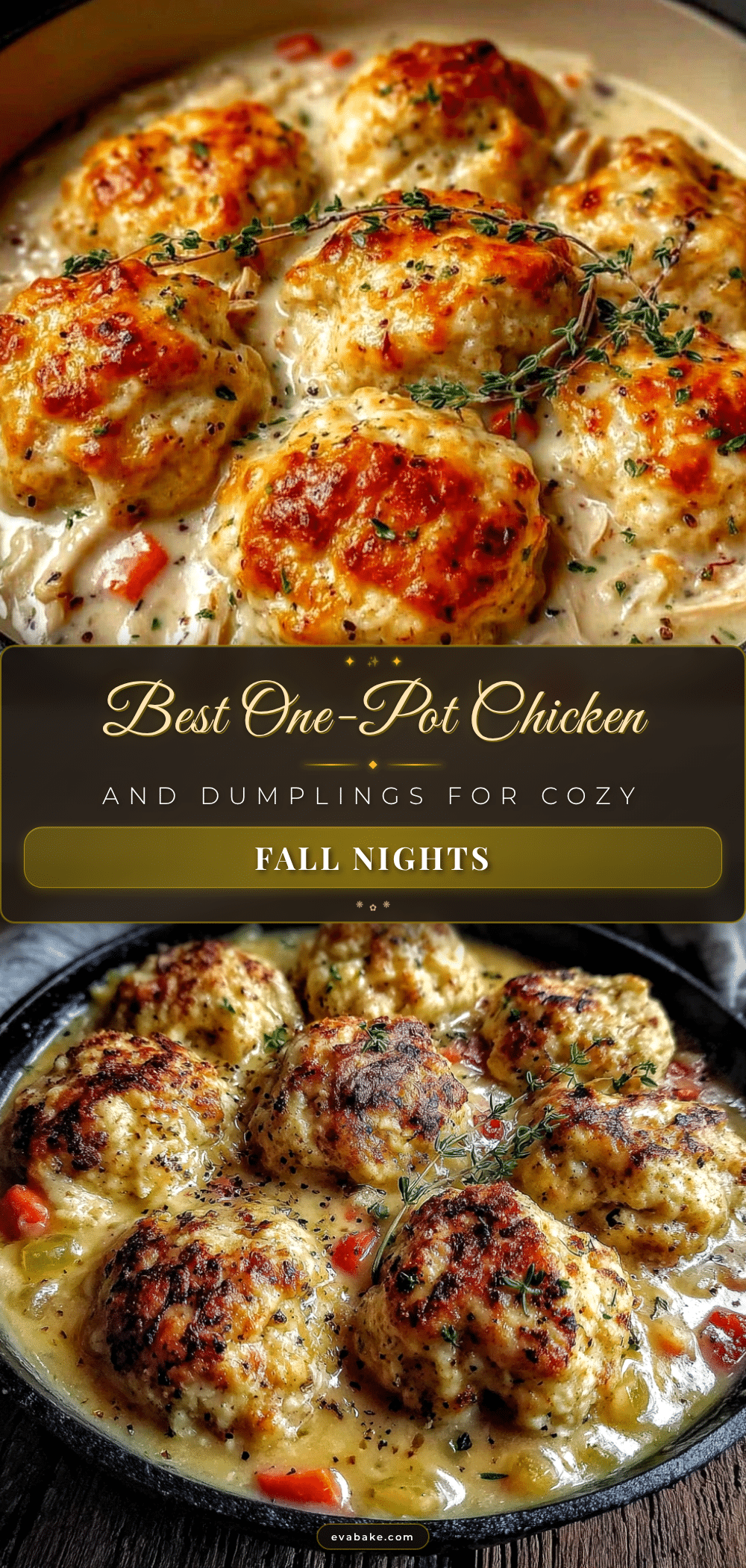 one-pot chicken and dumplings recipe