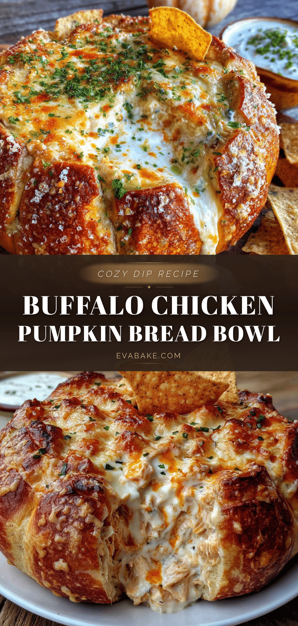 buffalo chicken dip in a pumpkin bread bowl recipe